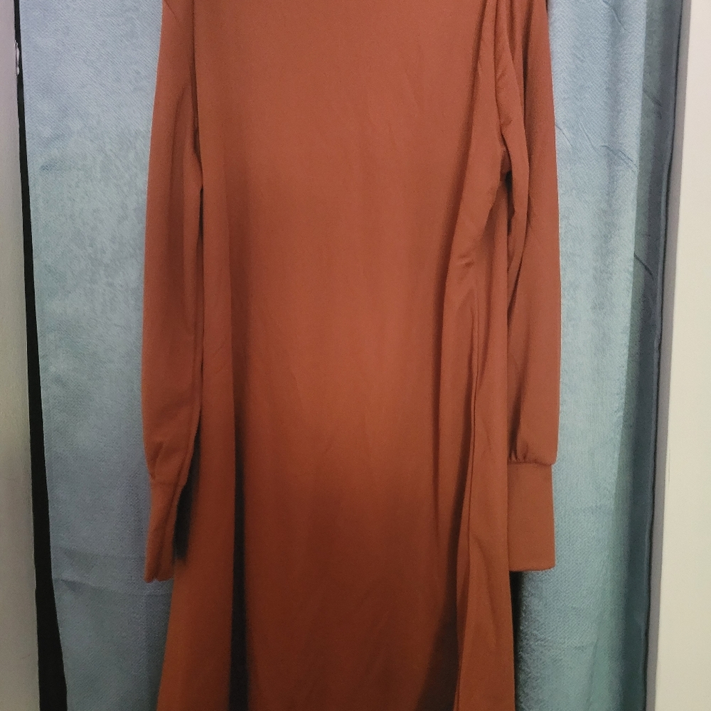 Long sleeved orange dress